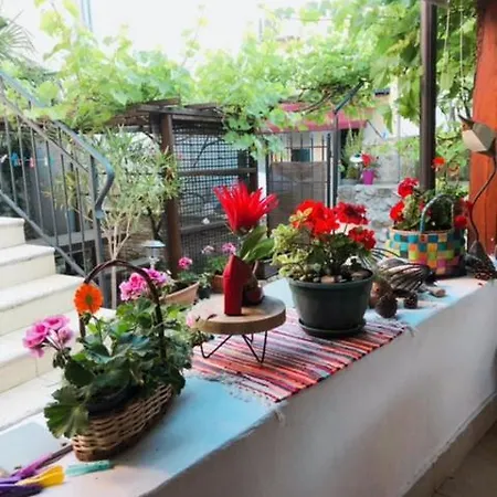 Krk Centar Apartment *