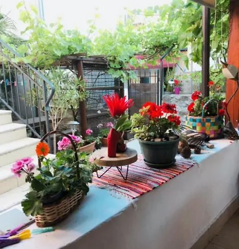 Krk Centar 아파트 *